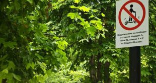В Плевен установиха мъжа, блъснал двегодишно дете с електрическа тротинетка, предстоят административни санкции