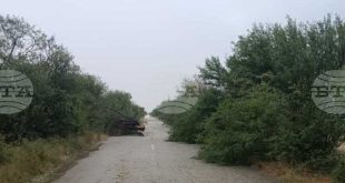 Силна буря в Плевенско предизвика паднали дървета и частични прекъсвания на тока в няколко населени места, аварийните екипи са на място