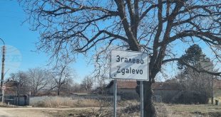 Възстановено е движението за тежкотоварни автомобили по път III-3501 Згалево – Пордим след катастрофа между два леки автомобила