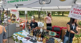 Третото издание на фестивала „Time for Wine“ събира любителите на вино и фермерски продукти в Плевен от 29 до 31 август 2025 г.
