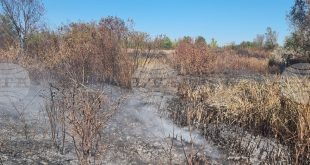 РИОСВ Плевен отказва запръстяване на тлеещи огнища край с. Ясен заради НАТУРА 2000, препоръчва алтернативни методи
