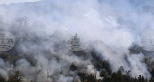 Регистрирани са 105 горски пожара в Северозападна България от началото на годината, като най-много са засегнати горите в област Видин