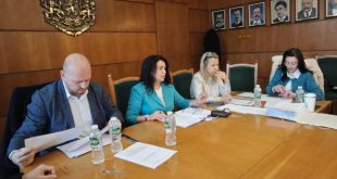 Започна публичният търг за наемане на дървените къщички в Коледното градче на Плевен