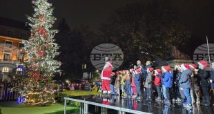 Коледната елха в Плевен ще засияе на 1 декември с празнични спектакли и откриване на ледената пързалка