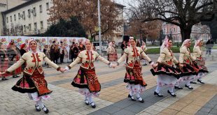 Общинският съвет в Долна Митрополия подкрепи преобразуването на Северняшкия ансамбъл в регионален културен институт