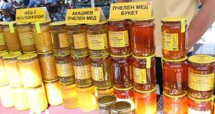 Плевен домакин на Празника на пчелните продукти: изложение, лекции и медена закуска от 6 до 8 ноември
