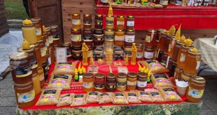 Празник на пчелните продукти в Плевен ще събере производители и любители на меда от цялата област
