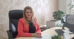 Ръст от близо 23% на делата за защита от домашно насилие в Плевенския съд през 2023 г. спрямо предходната година, обяви съдия Найденова, на фона на стартиращата кампания „Без страх“ за повишаване на обществената чувствителност към проблема