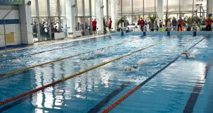 Повече от 200 деца показаха умения в Коледния турнир по плуване в Плевен