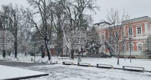 Снеговалежи в Плевен причиниха временни затруднения, но пътищата остават проходими и без бедстващи хора, уверява областната администрация