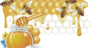 Детски конкурс по време на Международното изложение „Пчеларство – Плевен 2026“ предлага награди грамоти и пчелен мед