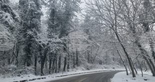 Плевен се подготвя за усложнена зимна обстановка с 139 машини и допълнителни мерки за сигурност по пътищата