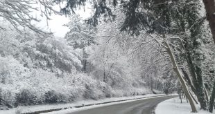Пътищата в област Плевен са проходими при зимни условия, жълт код за студ в 18 области на страната