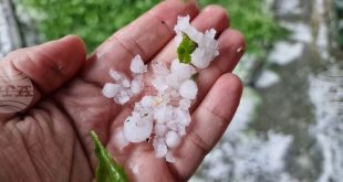 В област Плевен изграждат 18 нови ракетни площадки за борба с градушките и разкриват около 70 работни места