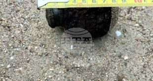 Военни сапьори обезвредиха корозирала ръчна граната Ф1 край плевенското село Петърница