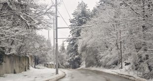 Община Плевен предупреждава фирмите за зимното почистване да реагират незабавно заради заледявания и сигнали от граждани