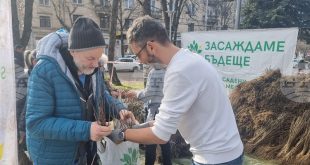 Плевен се включи в кампанията на Гората.бг с раздаване на 65 000 медоносни и плодни фиданки за по-зелен регион
