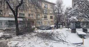 Пожарната в Плевен реагира на 51 сигнала за паднали дървета и счупени клони след снеговалежа, пътищата са проходими и няма населени места без ток