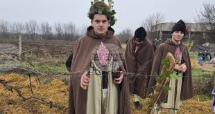 Царят на лозята Теодор Василев заряза ритуално лозите в ПГЛВ Плевен за Трифон Зарезан и берекет