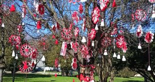 46 детски градини и училища обагриха центъра на Плевен в червено и бяло с инициативата Приятели на Баба Марта