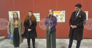 Изложбата Шевицата представя детски рисунки в Художествена галерия Илия Бешков, създадени по проекта Музеят е муза