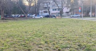 Община Плевен отлага обработката срещу кърлежи и бълхи и я насрочва за 6–8 април