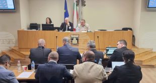 Общинският съвет в Плевен създаде временна комисия за назначаване на зооинспектор и промени в Наредба №6 за отглеждането на кучета