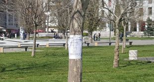 Плевен започва първата за 2026 г. обработка срещу кърлежи и бълхи от 31 март до 7 април при благоприятно време