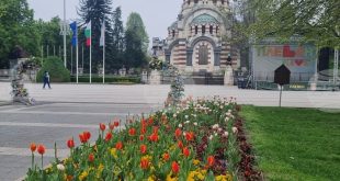 75 плевенски семейства кандидатстваха за еднократна помощ при раждане, 58 получиха финансиране от общинския бюджет до 31 март