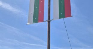 Община Плевен премахва рекламите на Efbet от общински имоти след изтекли договори и законова забрана, отговаря на критики от „Спартак – Плевен“