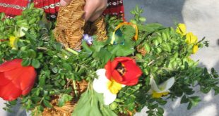 Отменят празничното дефиле за Лазаровден в Плевен заради лоша прогноза, празникът продължава с концерт „Цветна Лазарица“ в зала „Катя Попова“ в 11:30 часа