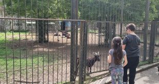 На 1 юни Плевенският зоопарк в „Кайлъка“ отваря с безплатен вход за деца и младежи до 18 години