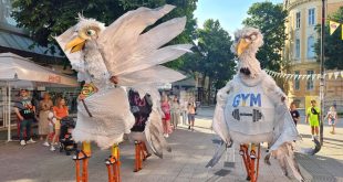 В Плевен започна деветото издание на фестивала за куклено изкуство Шарено петле, част от проявите се местят в зала Катя Попова заради прогнозата за лошо време