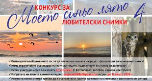Започва фотоконкурсът Моето синьо лято 4 със срок за участие до 31 август 2026 г.
