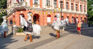 Деветото издание на фестивала за куклено изкуство „Шарено петле“ започна в Плевен с уличен спектакъл и изложба