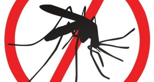 На 20 и 21 юли ще обработват срещу комари пътната мрежа в Плевен и парк Кайлъка