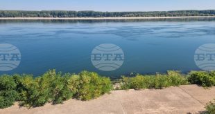 Ниското ниво на Дунав затруднява корабоплаването и налага ограничения в критични участъци