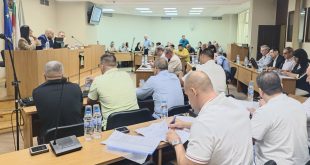 Плевен затяга контрола върху безстопанствените кучета с промени в общинската наредба