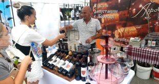 Плевен приема Time for Wine от 28 до 30 август с дегустации, фермерски деликатеси и концерти в парка на Историческия музей