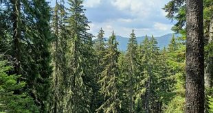 Плевенската библиотека организира фотоконкурс „Следите на времето – 1345 години България“
