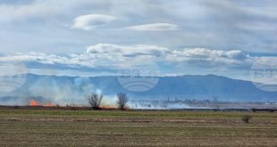 Пожар край село Въбел унищожи 60 декара ечемик, пожарникари спасиха още 240 декара