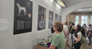 Изложба в Плевен разкрива ролята на кучето в живота на хората в Древна Тракия