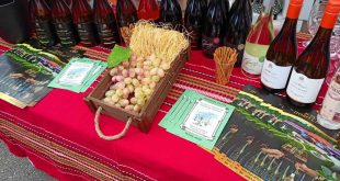 Плевен се подготвя за четвъртото издание на фестивала Time for Wine от 28 до 30 август