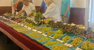 Четвъртото издание на фестивала Time for Wine започна в Плевен с открит ден на мискетовите сортове