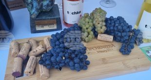 Четвъртото издание на фестивала Time for Wine събира в Плевен вино, фермерски деликатеси и музика