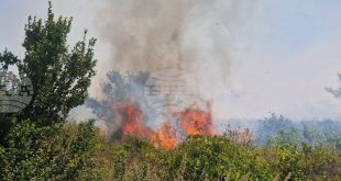 Възстановено е движението по път I-3 край Плевен след пожар и силно задимяване