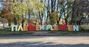 Община Плевен набира доброволци за преброяване на безстопанствените кучета през октомври