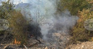 Ограничиха движението по път I-3 край Плевен заради пожар и силно задимяване