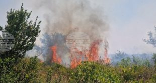 Ограничиха движението по пътя Гривица – Згалево – Пордим заради пожар